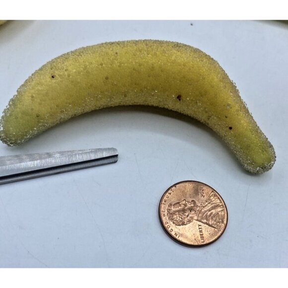 VTG Faux Sugar Fruit Lot 19 Home Decor Set Crafts DIY Cottage Tropical - Picture 11 of 13